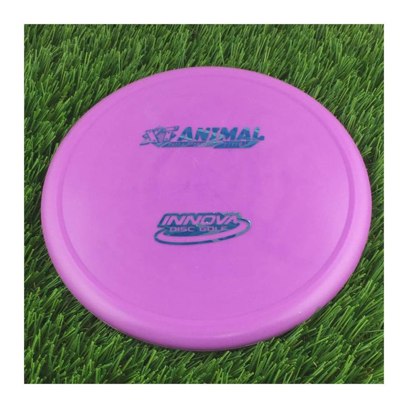 Innova XT Animal - 172g - Solid Purple