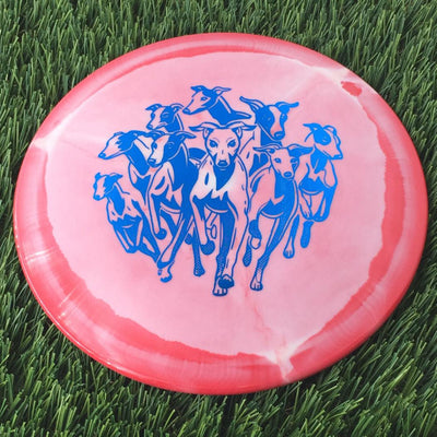 Innova Halo Star Whippet-X with Dog Pack Stamp - 167g Red