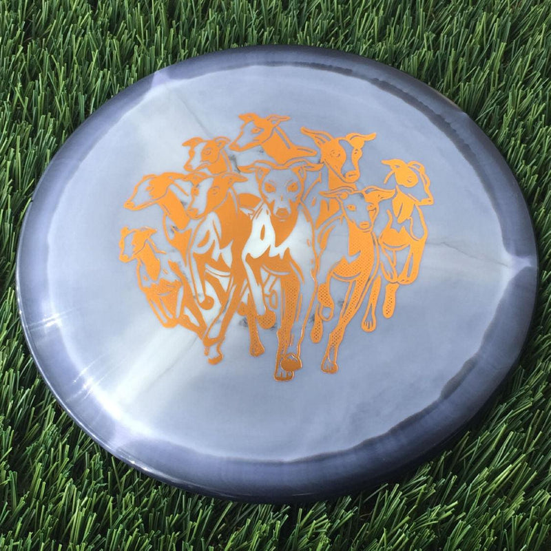 Innova Halo Star Whippet-X with Dog Pack Stamp - 172g Black