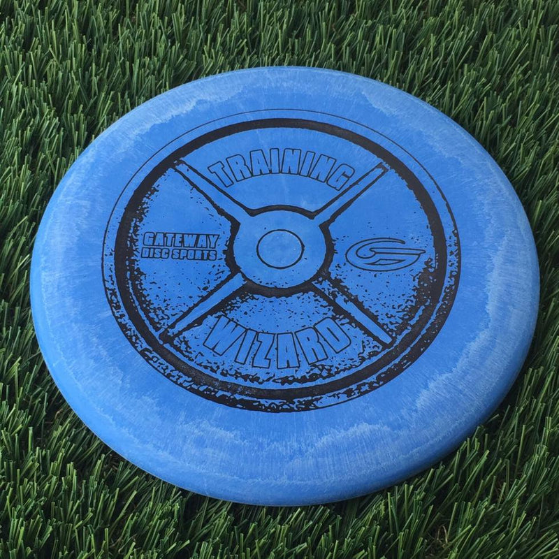 Gateway Training Wizard - 278g Blue