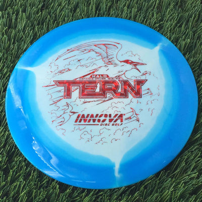 Innova Halo Star Tern with Burst Logo Stock Stamp - 169g Blue